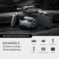 DJI Avata 2 Fly More Combo (trys baterijos)